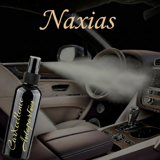 CarXcellence Naxias Autoparfüm Spray 100ml – mediterraner Duft mit griechischer Leichtigkeit für eine entspannte Fahrt